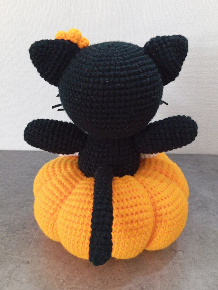 Le Chat citrouille